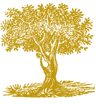 Hugh Marshall Landscape Contractors logo icon