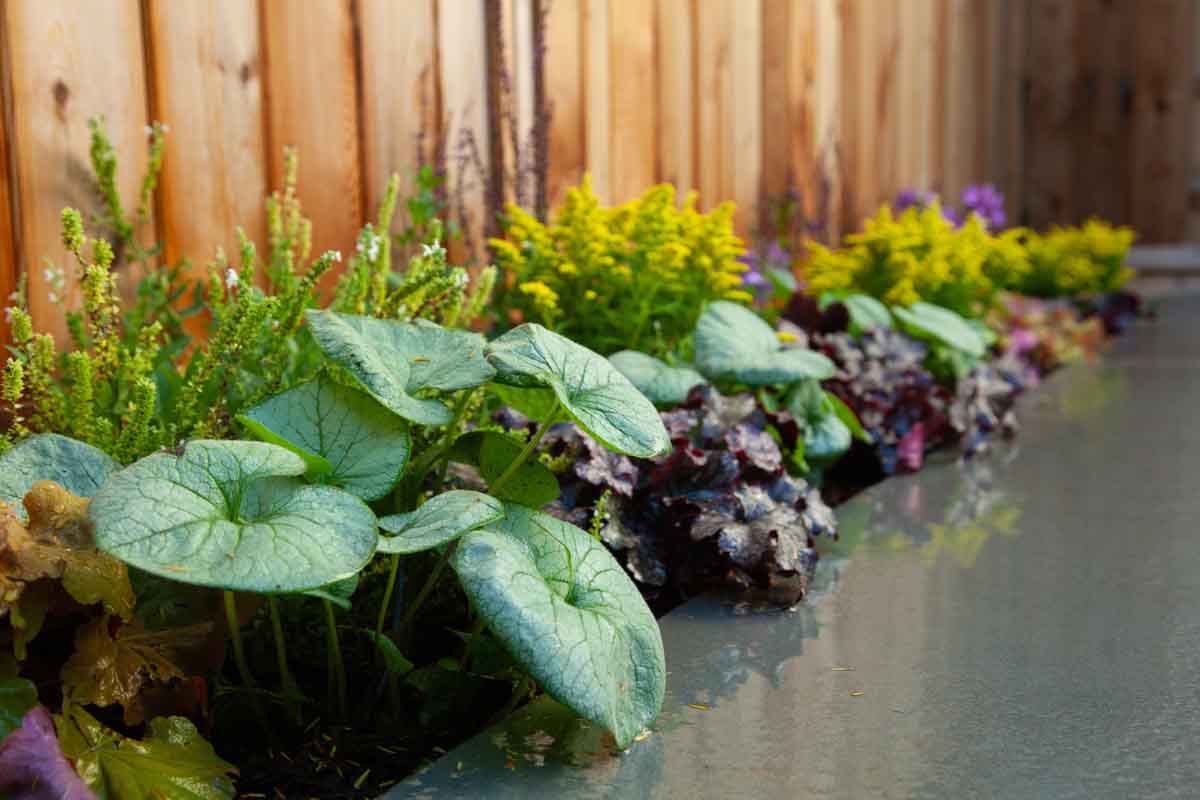 A flower bed in a hardscaped patio area